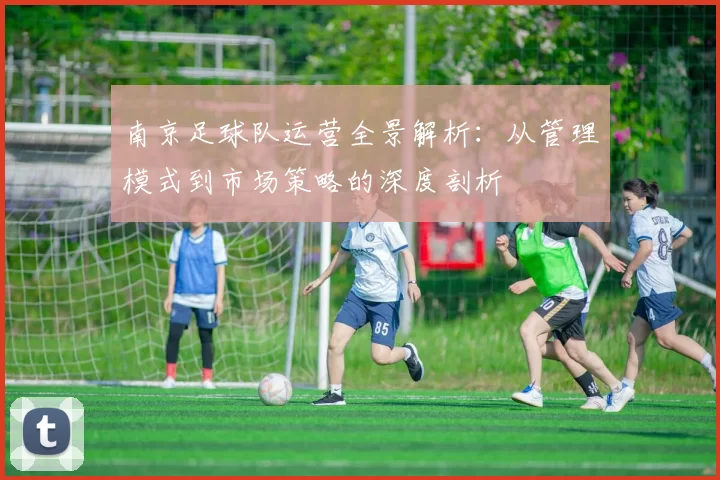 南京足球队运营全景解析：从管理模式到市场策略的深度剖析