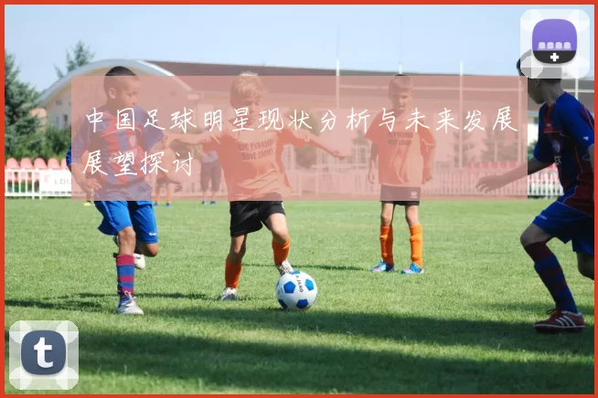 中国足球明星现状分析与未来发展展望探讨