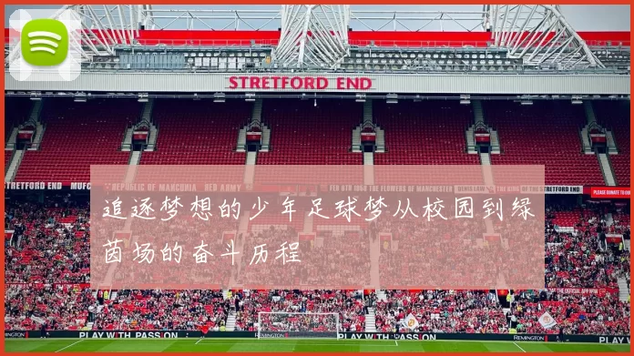 追逐梦想的少年足球梦从校园到绿茵场的奋斗历程